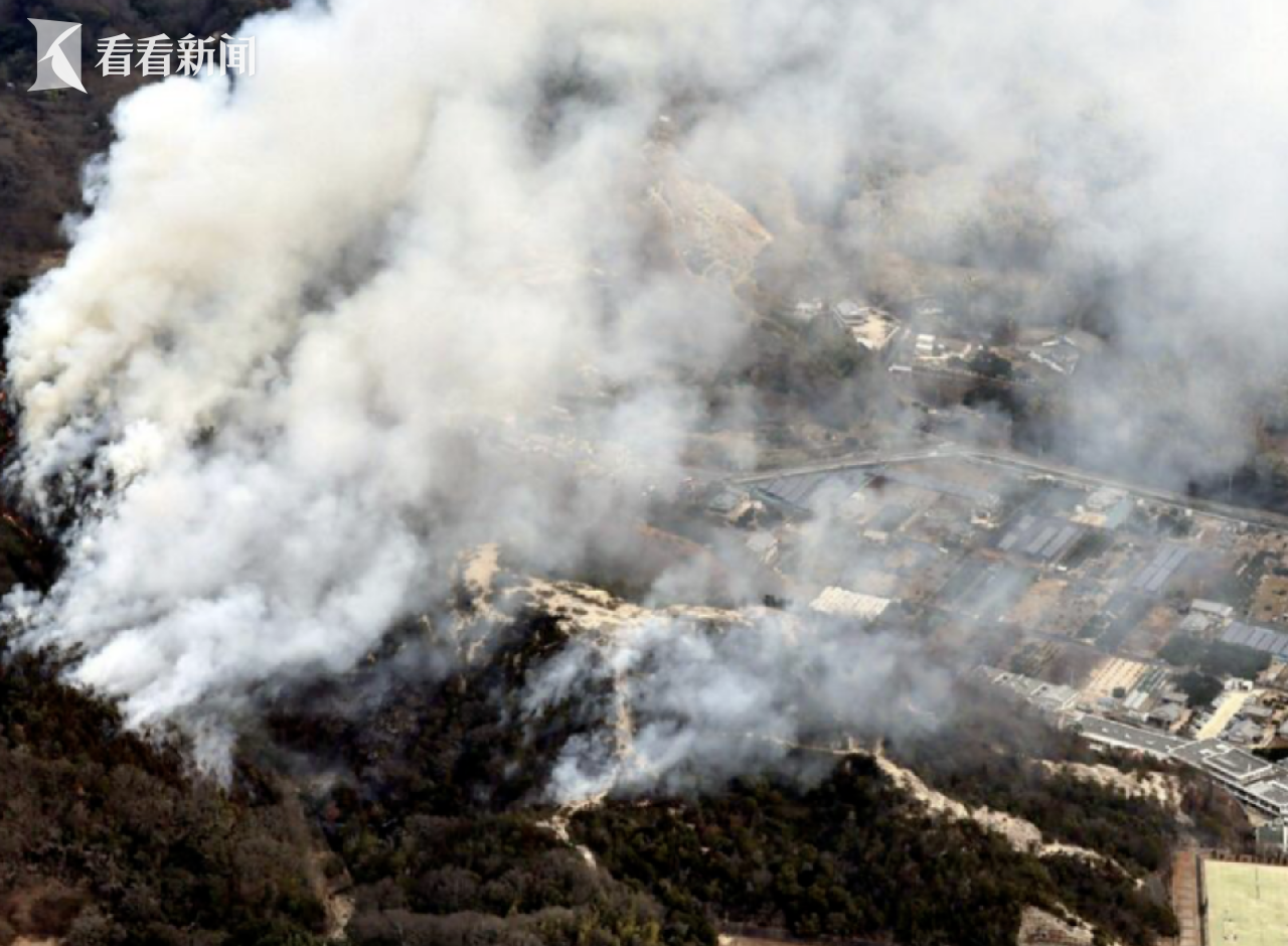 日本自卫队训练引发山火事件深度解析