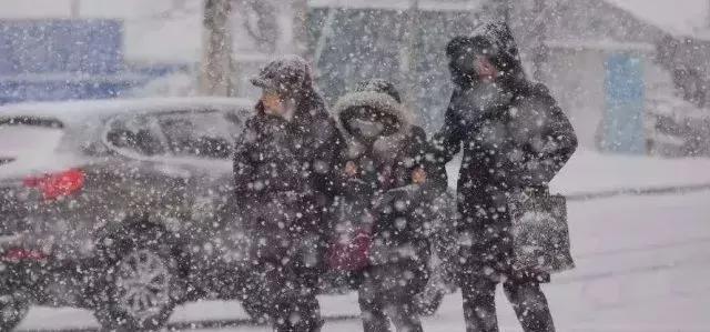 寒潮来袭！八省区遭遇大到暴雪，如何应对大雾天气？