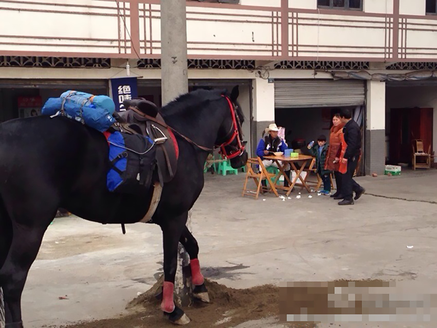 男子开房车带马回乡，一路引关注