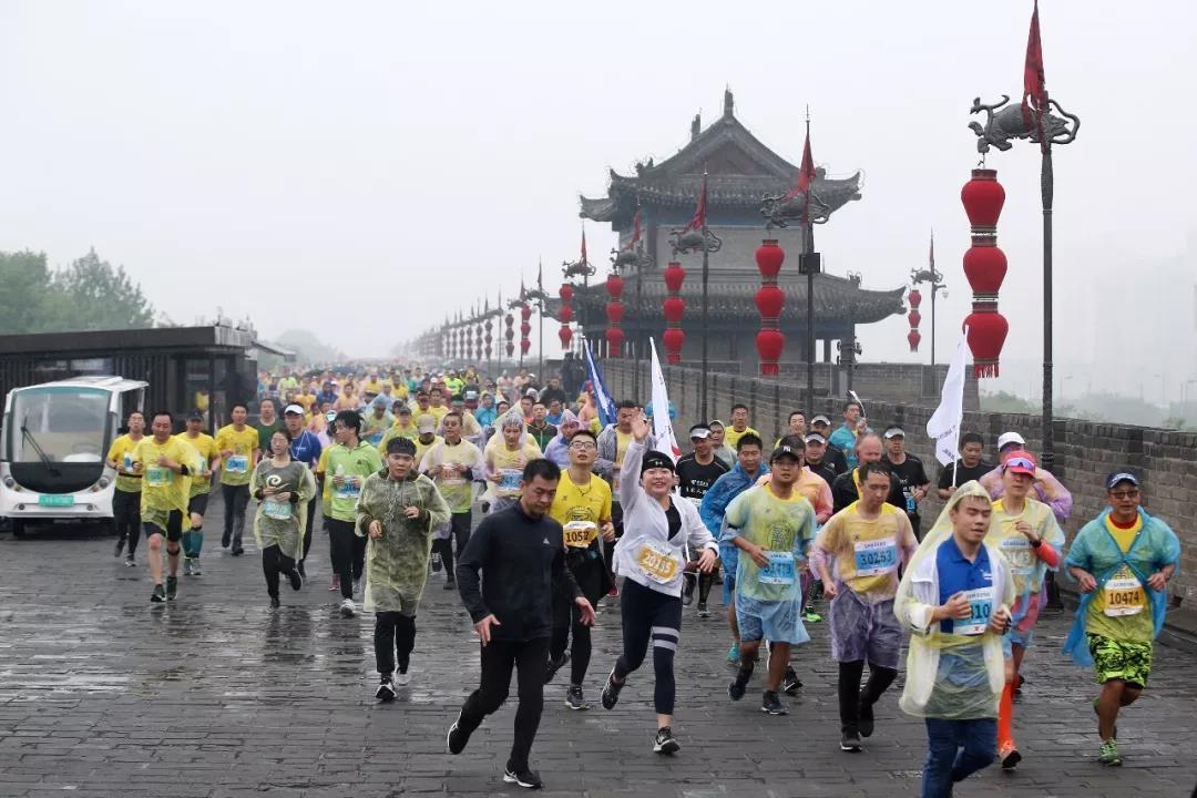 法国AI出三天后被下架，背后的故事与启示