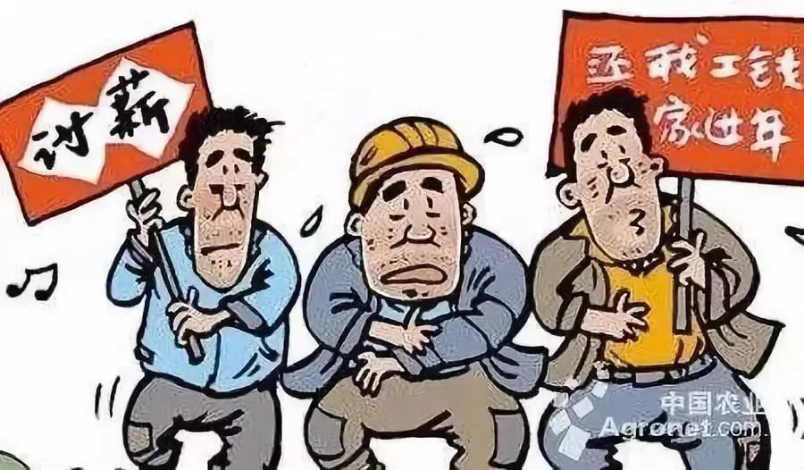 你会为了三倍薪资而不回家过年吗？