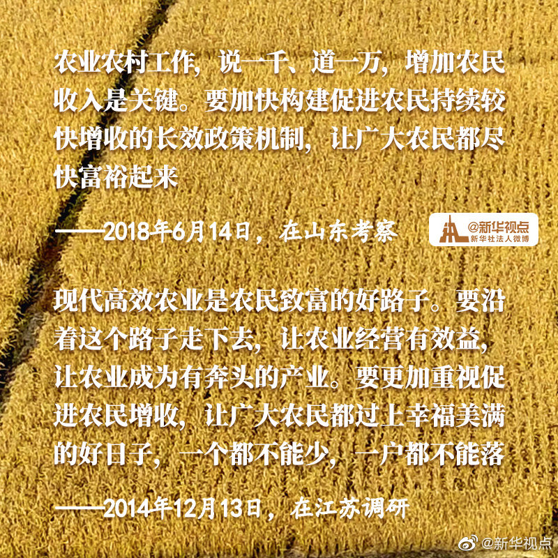 对抓好三农工作的深情叮嘱，乡村振兴的未来，藏在这句话里！