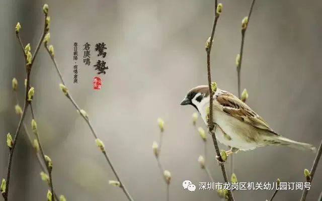 惊雷乍响！万物复苏背后的惊人秘密，99%的人都不知道！