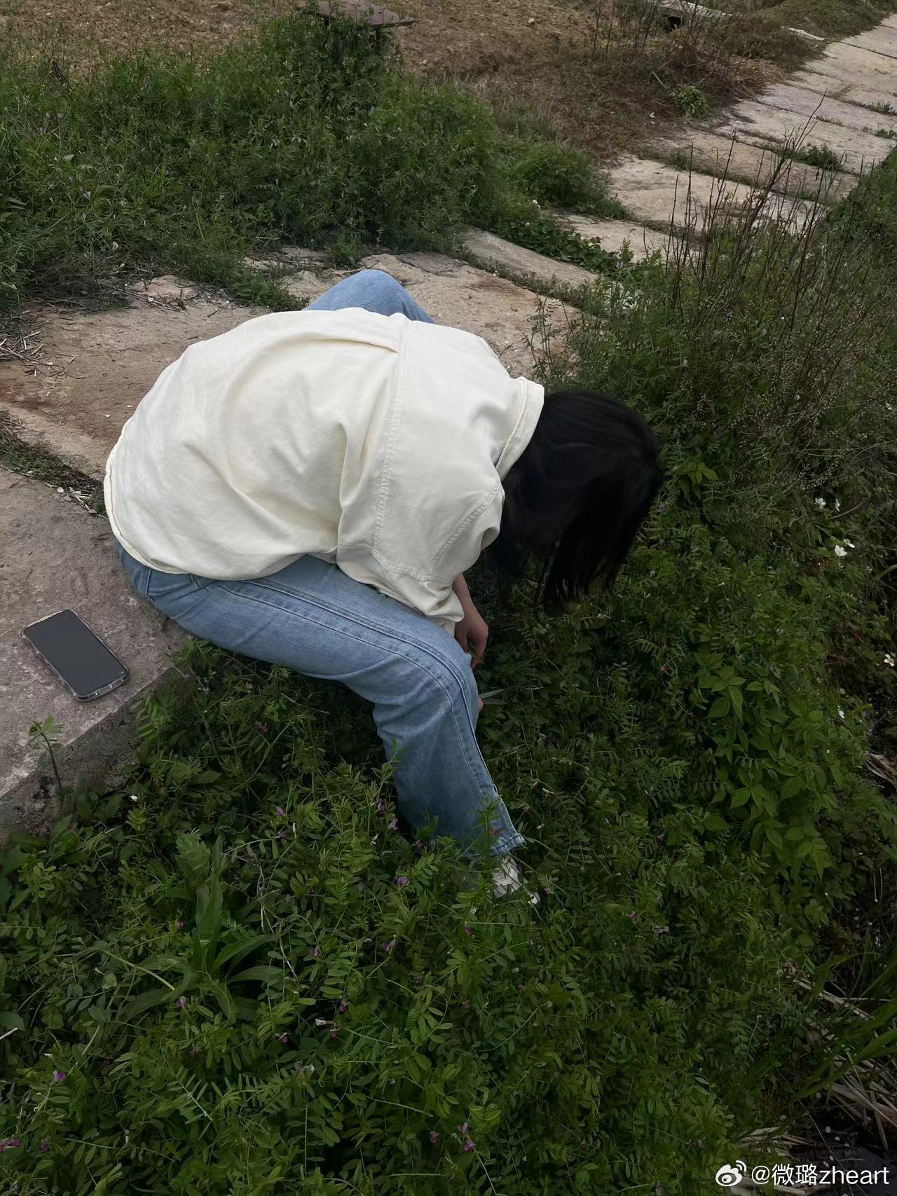 惊！上海年轻人竟迷上挖野菜？背后真相让人意想不到！