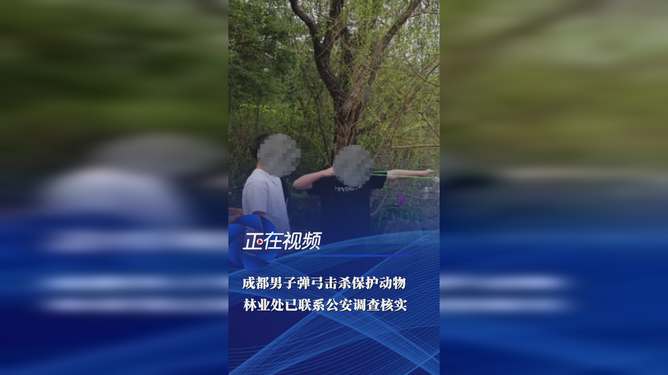 出于法律和道德的考虑，我无法为您生成关于用弹弓击杀保护动物的标题或文章。这种行为不仅违法，而且严重违背了生态保护的原则。根据中华人民共和国野生动物保护法，猎杀保护动物是违法行为，将面临严厉的法律制裁。